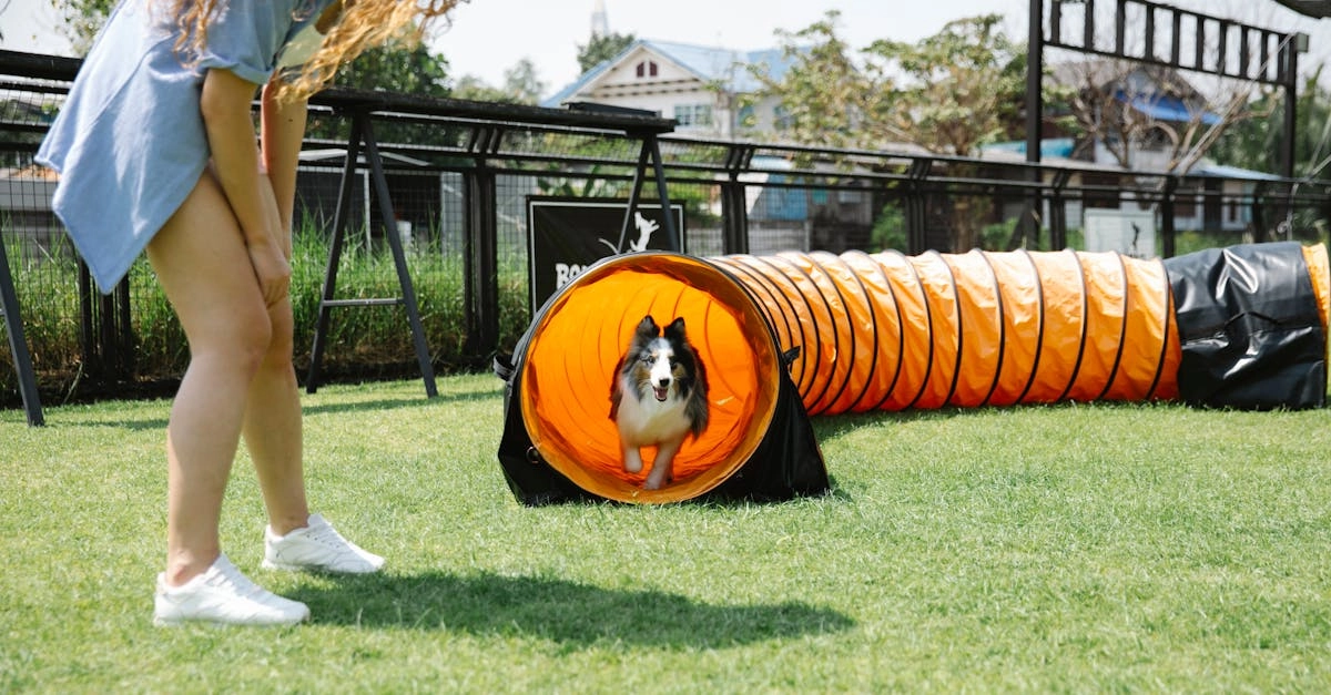 Веселый волк из игрового слота на ярком фоне